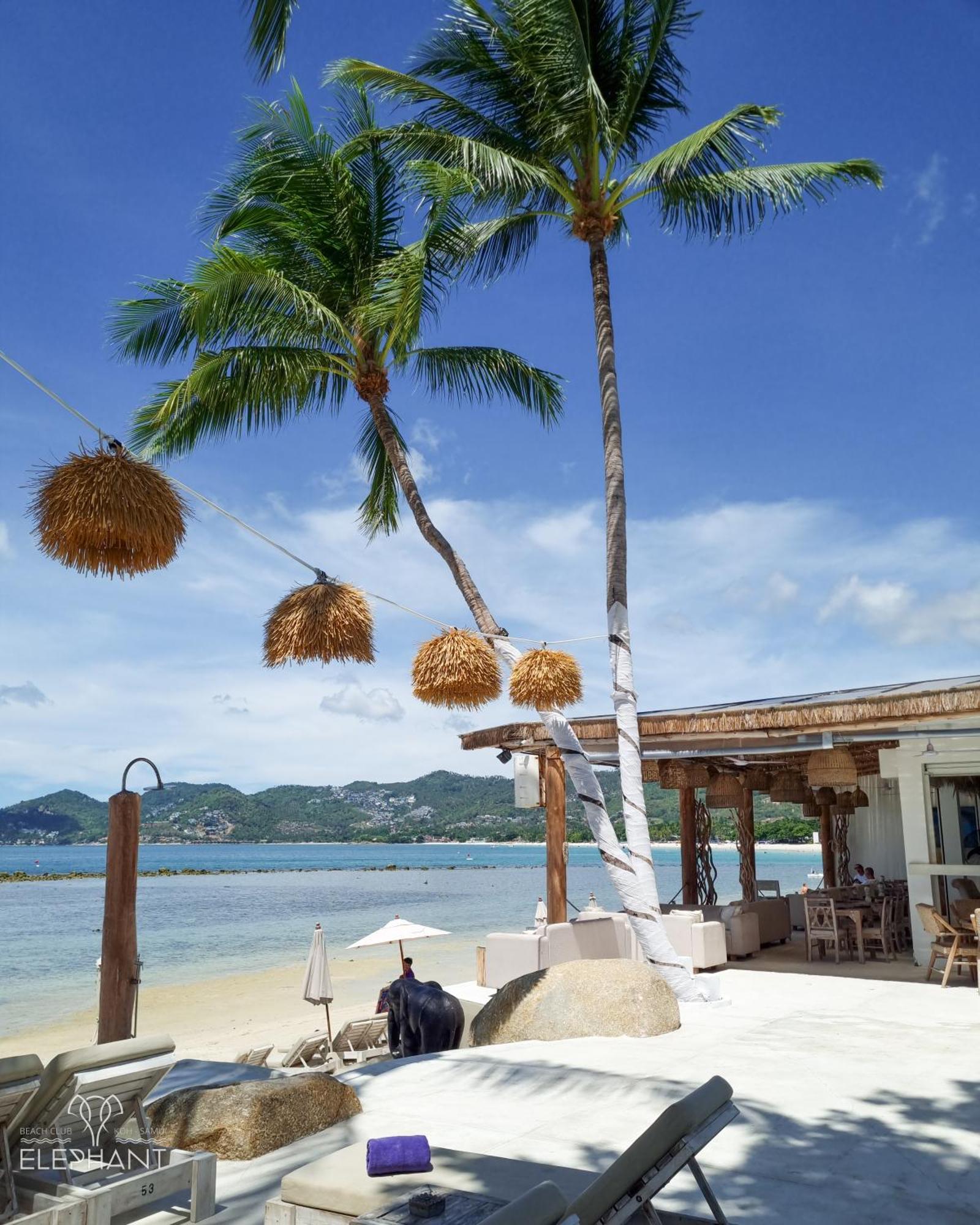 Elephant Beach Club & Resort Samui Chaweng  Eksteriør bilde